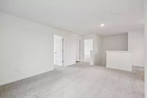 Other - 319 Snowdrop Ln, Elgin, IL 60124 photo 4 of 21