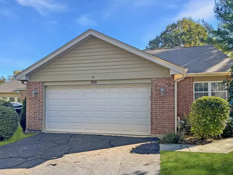 515 Shagbark Dr, Elgin, IL 60123