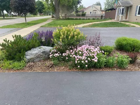 Exterior - 148 Wheeling Ave, Wheeling, IL 60090 photo 13 of 13