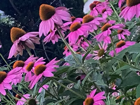 Other - 148 Wheeling Ave, Wheeling, IL 60090 photo 5 of 5