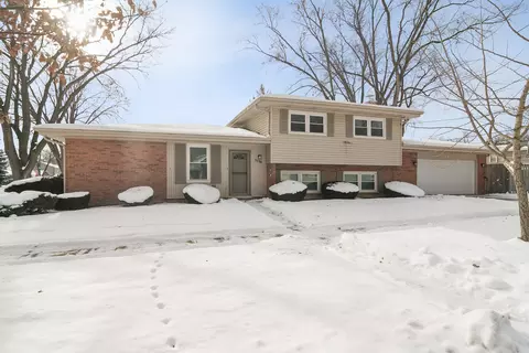 1115 E Orchard St, Arlington Heights, IL 60005
