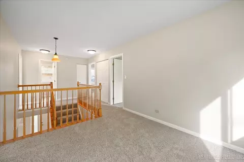 2465 Barn Owl Ln, Elgin, IL 60124 photo 26