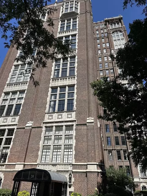 20 E Cedar St #2C, Chicago, IL 60611 photo 1