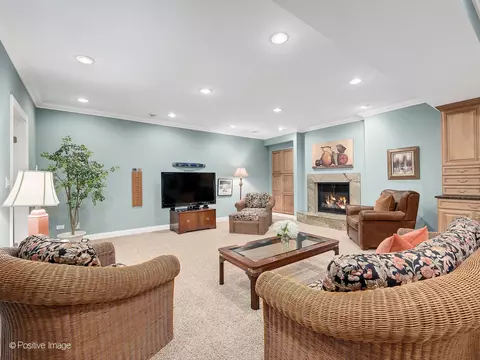 Living - 802 Kenmare Dr, Burr Ridge, IL 60527 photo 10 of 10