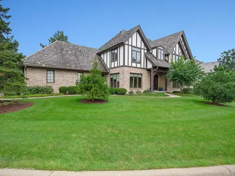 Exterior - 802 Kenmare Dr, Burr Ridge, IL 60527 photo 2 of 7