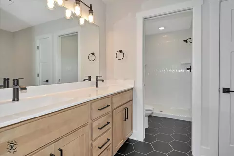 Bath - 993 Spring St, Manteno, IL 60950 photo 1 of 5