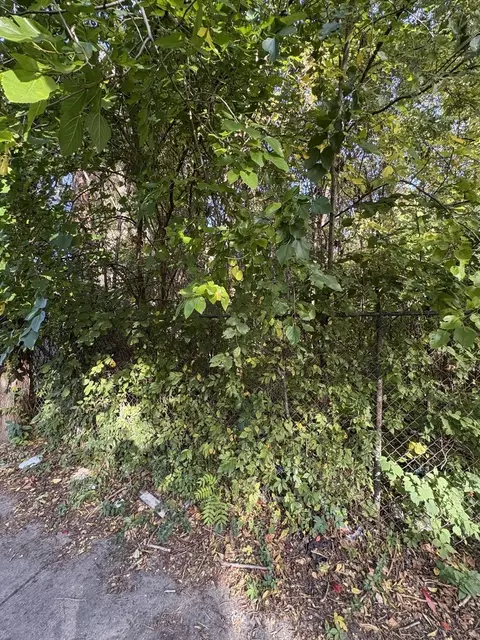 6705 S Parnell Ave, Chicago, IL 60621