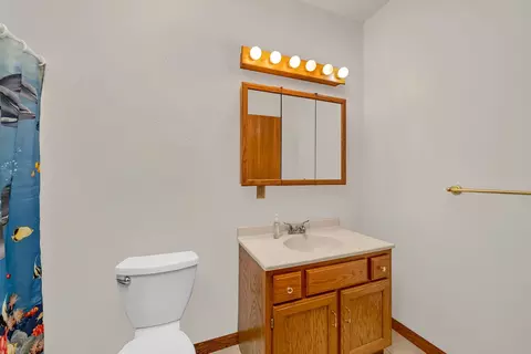 1665 Schubert Dr, Morris, IL 60450 photo 24