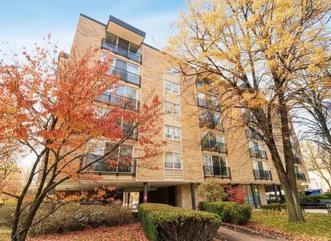 424 Park Ave #205, River Forest, IL 60305