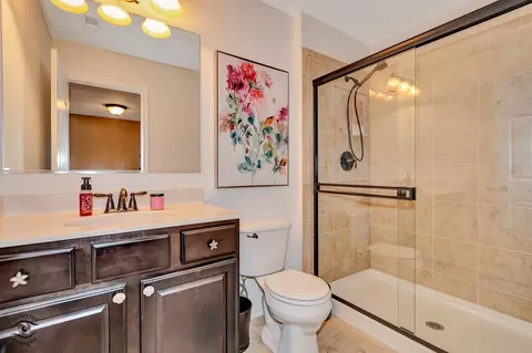 Bath - 268 Bennett Dr, Carol Stream, IL 60188 photo 5 of 5