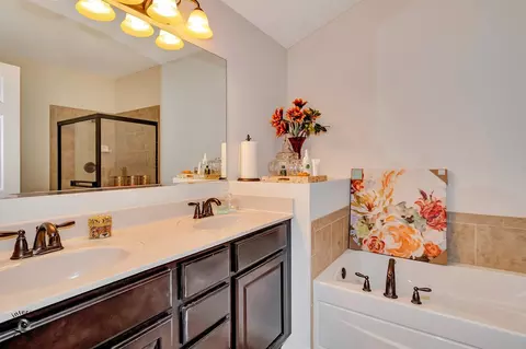Bath - 268 Bennett Dr, Carol Stream, IL 60188 photo 2 of 5