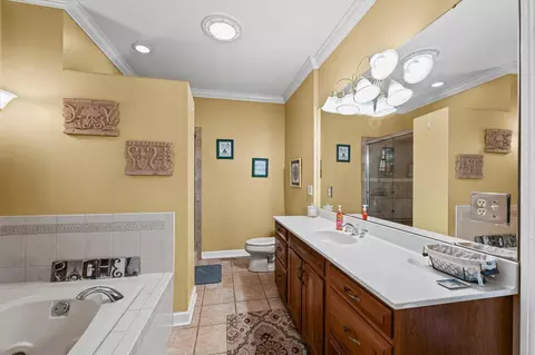 Bath - 52 Glenn Dr, White Heath, IL 61884 photo 3 of 3