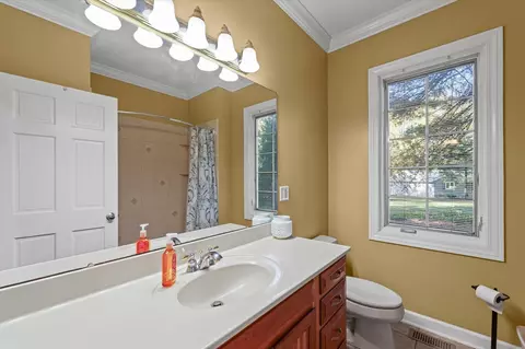 Bath - 52 Glenn Dr, White Heath, IL 61884 photo 2 of 3