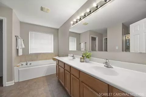Bath - 13905 Trillium Ln, Plainfield, IL 60544 photo 2 of 4