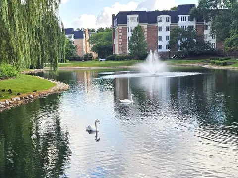 150 Lake Blvd #125, Buffalo Grove, IL 60089