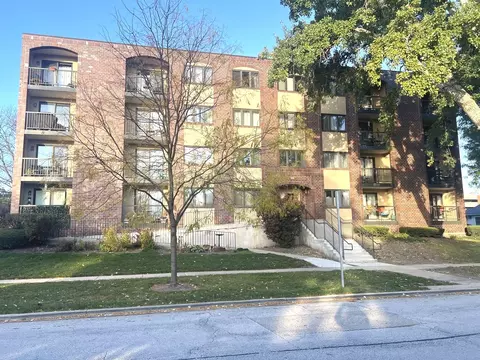 104 N Pine Ave #302, Arlington Heights, IL 60004
