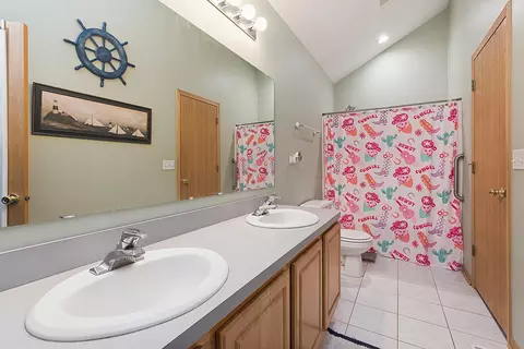 Bath - 1352 Fox Hound Trl, Beecher, IL 60401 photo 1 of 2