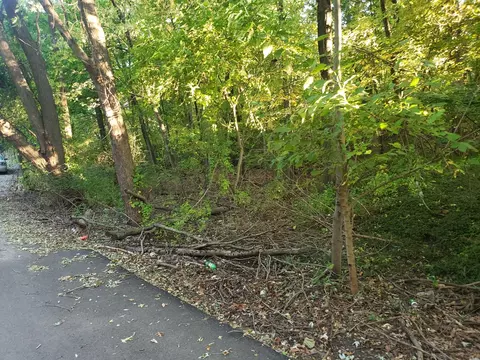 7321 Ash Ave, Gary, IN 46403 photo 17