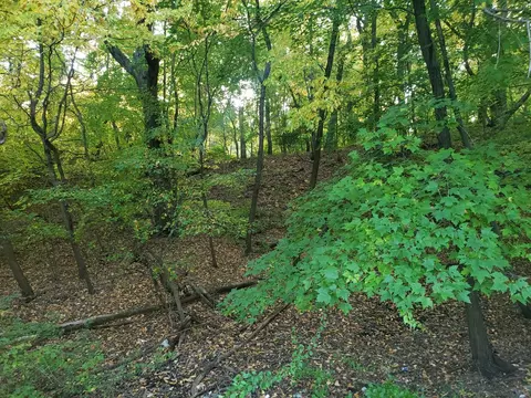7321 Ash Ave, Gary, IN 46403 photo 7