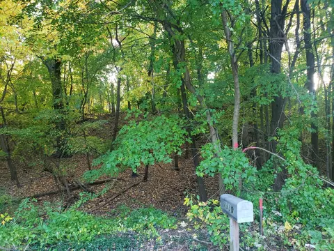 7321 Ash Ave, Gary, IN 46403 photo 2