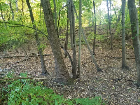 7321 Ash Ave, Gary, IN 46403 photo 6