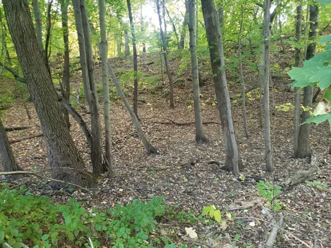 7321 Ash Ave, Gary, IN 46403 photo 11