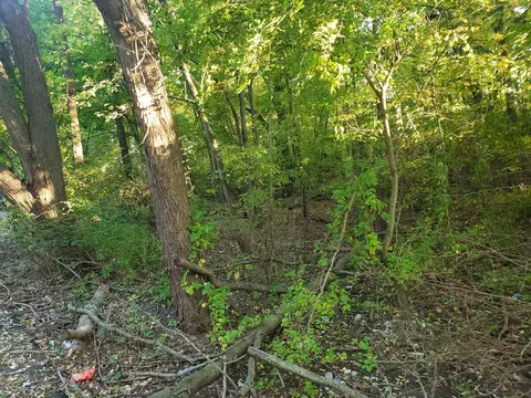 7321 Ash Ave, Gary, IN 46403 photo 4