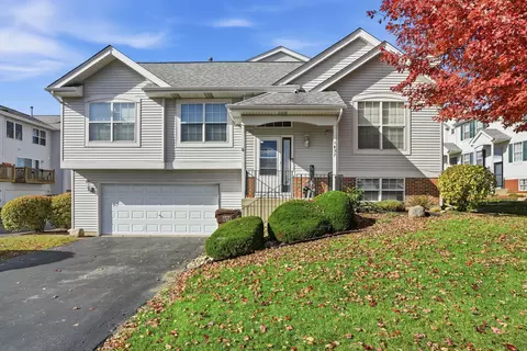 1452 Fox Hound Trl, Beecher, IL 60401