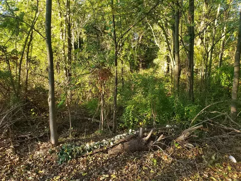 7234 Ash Pl, Gary, IN 46403 photo 3
