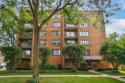 1389 Perry St #303, Des Plaines, IL 60016