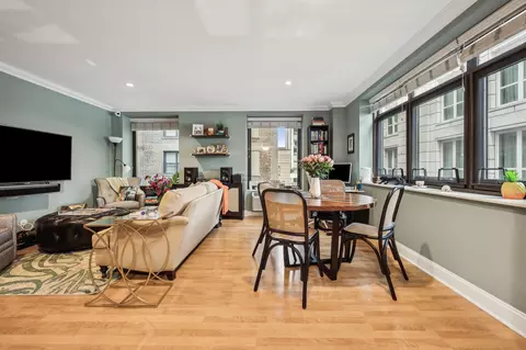 Living - 40 E Delaware Pl #904, Chicago, IL 60611 photo 4 of 4