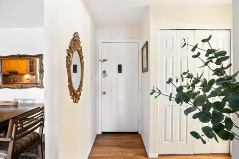 Entry Way - 8896 David Pl #2E, Des Plaines, IL 60016 photo 1 of 2