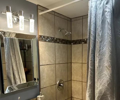 Bath - 3506 William St, Steger, IL 60475 photo 1 of 2