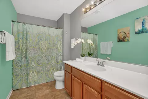 Bath - 25408 Cove Ct, Plainfield, IL 60544 photo 5 of 5