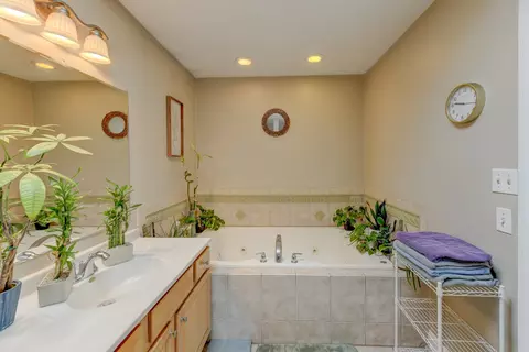 Bath - 4999 W Hawk Ln, Monee, IL 60449 photo 1 of 4