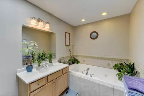 Bath - 4999 W Hawk Ln, Monee, IL 60449 photo 2 of 4