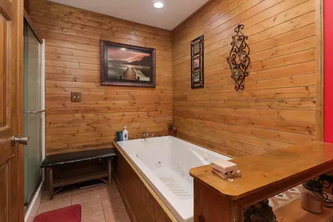 Bath - 32892 Mcclure Rd, Colfax, IL 61728 photo 2 of 2
