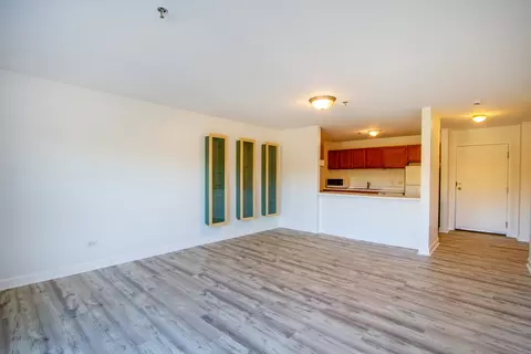 Living - 3265 Kirchoff Rd #223, Rolling Meadows, IL 60008 photo 2 of 4