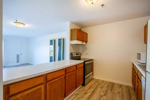 Kitchen - 3265 Kirchoff Rd #223, Rolling Meadows, IL 60008 photo 2 of 2
