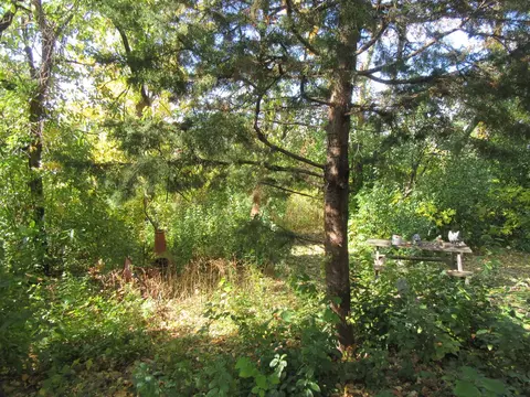 740 N Junior Ter, Elmhurst, IL 60126 photo 11