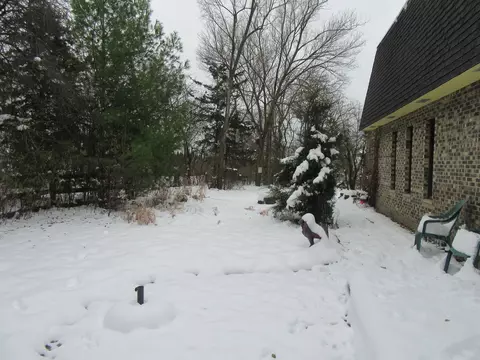 740 N Junior Ter, Elmhurst, IL 60126 photo 7