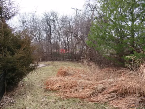 740 N Junior Ter, Elmhurst, IL 60126 photo 15