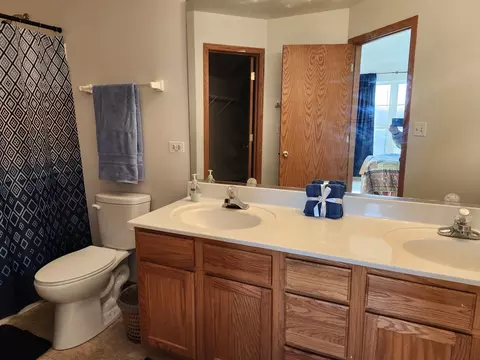 Bath - 16212 Golfview Dr, Lockport, IL 60441 photo 3 of 4