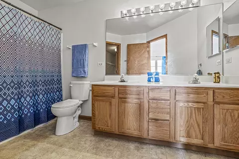 Bath - 16212 Golfview Dr, Lockport, IL 60441 photo 2 of 4
