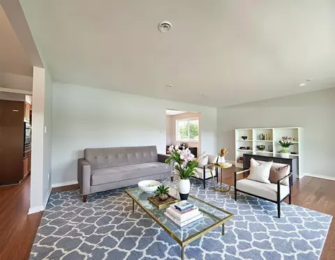 Living - 20436 Arcadian Dr, Olympia Fields, IL 60461 photo 1 of 6
