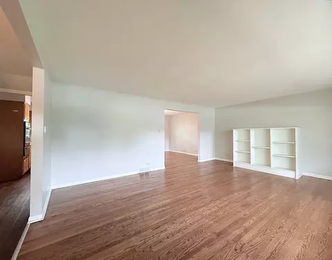 Living - 20436 Arcadian Dr, Olympia Fields, IL 60461 photo 2 of 6