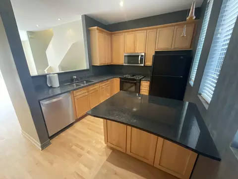Kitchen - 1221 W Cottage Pl, Chicago, IL 60607 photo 2 of 3