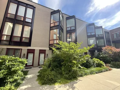 1221 W Cottage Pl, Chicago, IL 60607