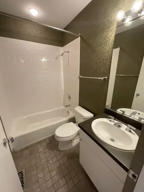 Bath - 1221 W Cottage Pl, Chicago, IL 60607 photo 4 of 4
