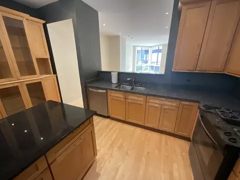 Kitchen - 1221 W Cottage Pl, Chicago, IL 60607 photo 3 of 3